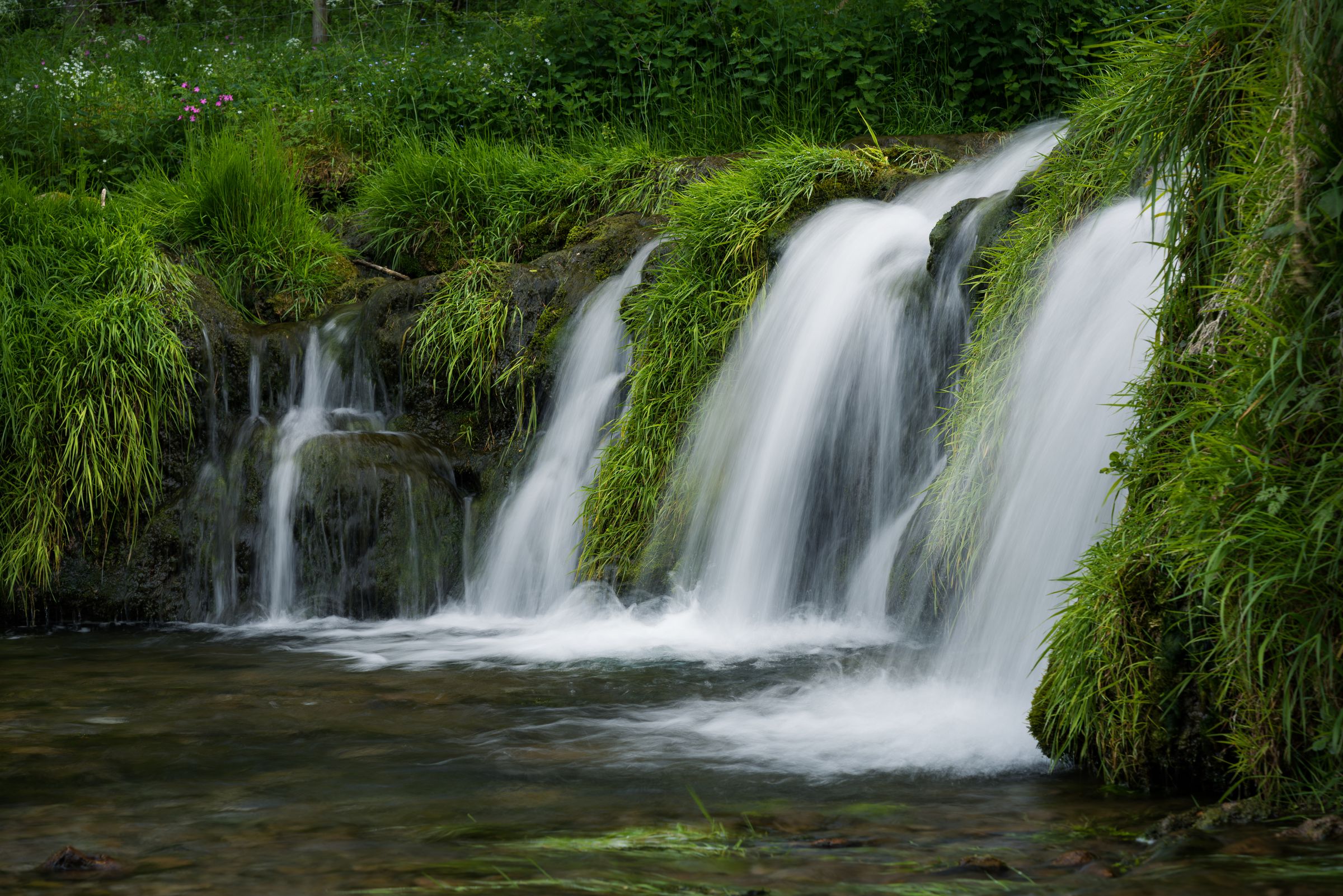 The waterfall in Lathkill Dale, a limestone valley near Youlgreave