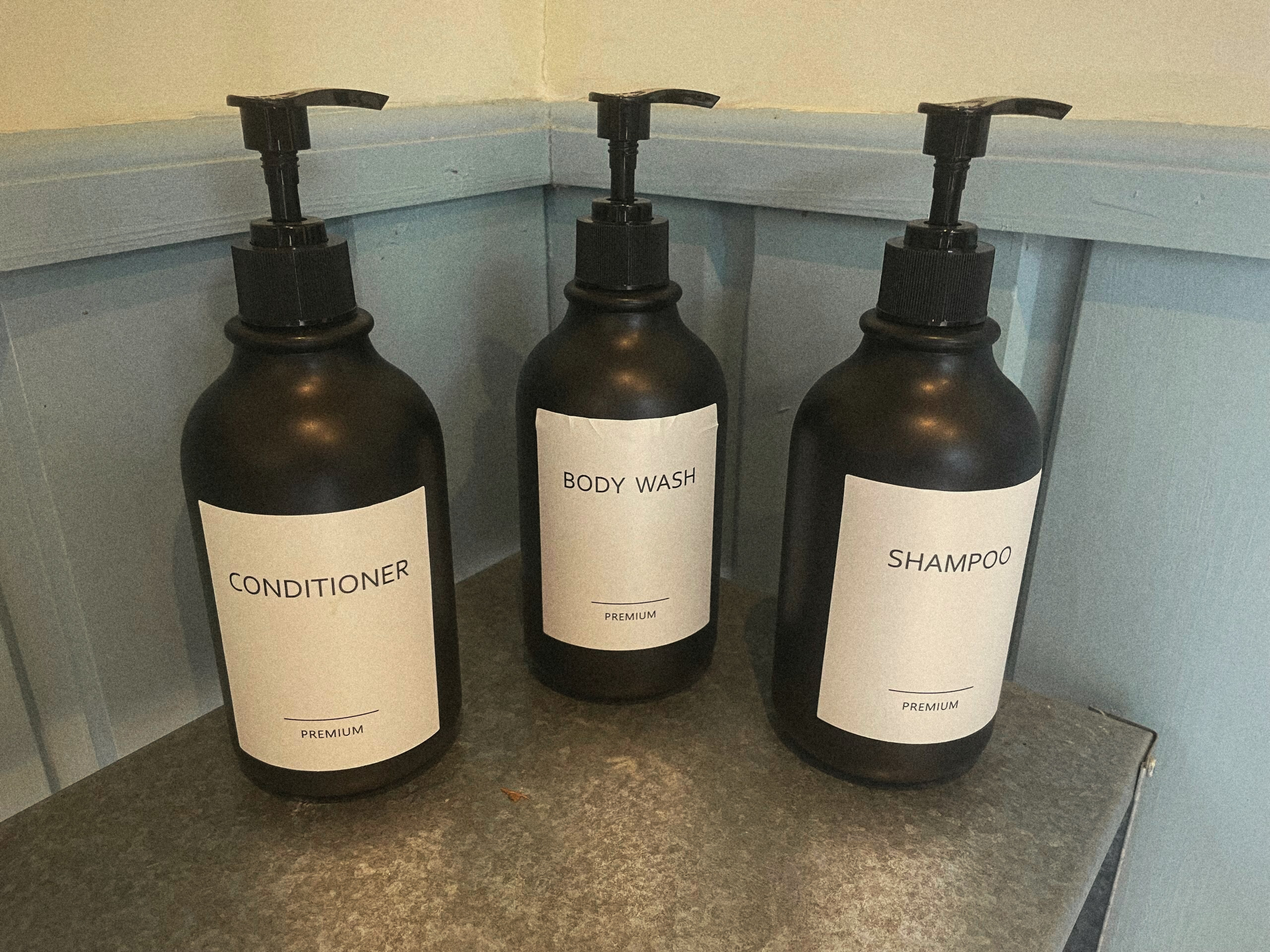 Shampoo, conditioner and body wash in the shower