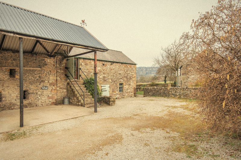 The barn and yard with blossom