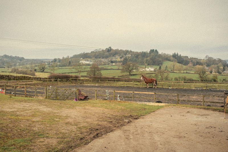 The view across the paddock