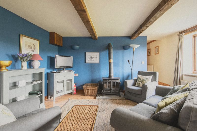 The blue sitting room with log burner